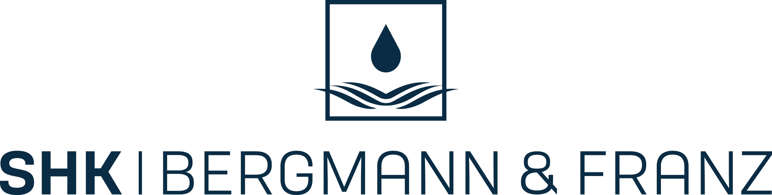 Bergmann & Franz Logo